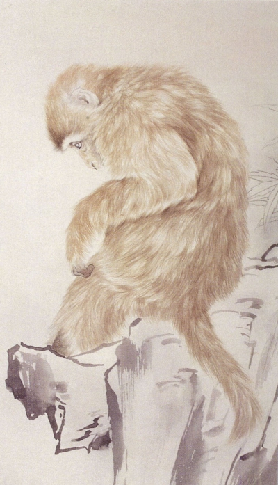 Le singe en peinture chinoise gongbi, étape 1.