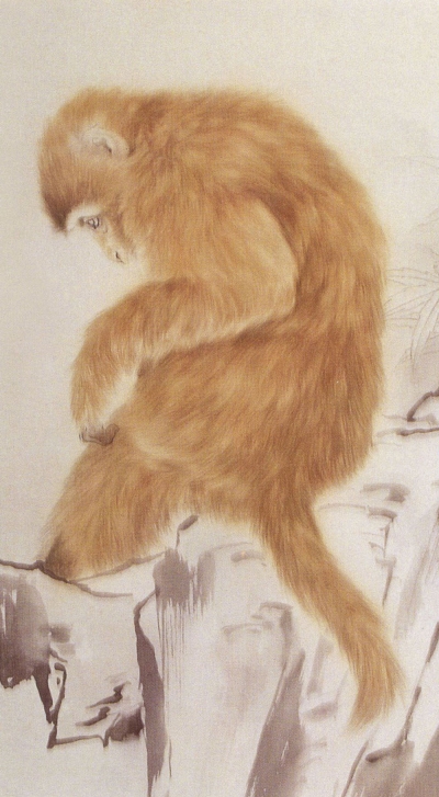 Le singe en peinture chinoise gongbi, étape 2.