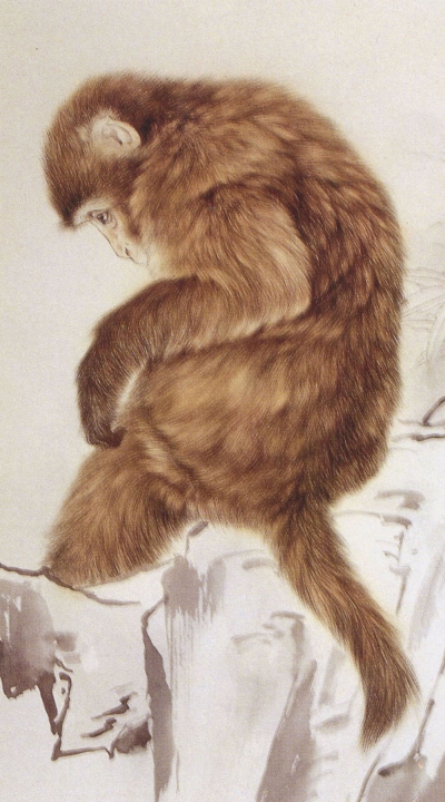 Le singe en peinture chinoise gongbi, étape 3.