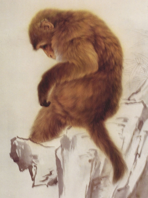 Le singe en peinture chinoise gongbi, étape 4.