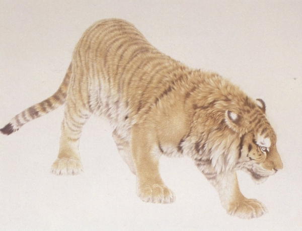 Le tigre en peinture chinoise gongbi, étape 3.