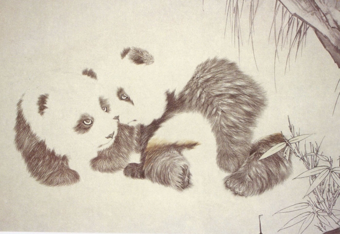 Le panda en peinture chinoise gongbi, étape 1.