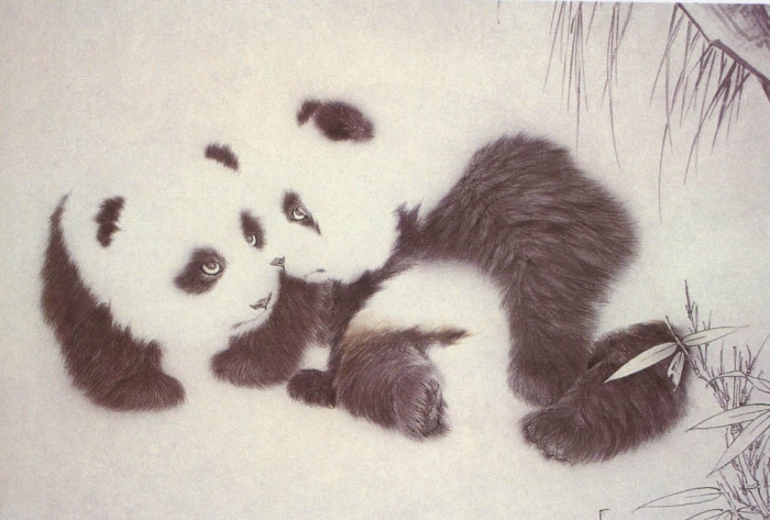 Le panda en peinture chinoise gongbi, étape 2.