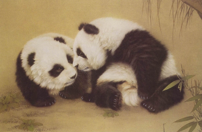 Le panda en peinture chinoise gongbi, étape 4.