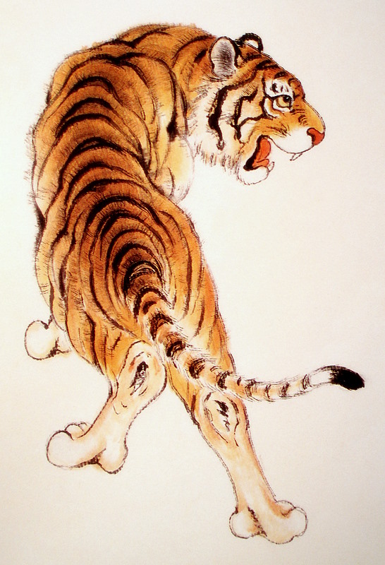 Le corps du tigre en peinture chinoise xieyi, étape 4.