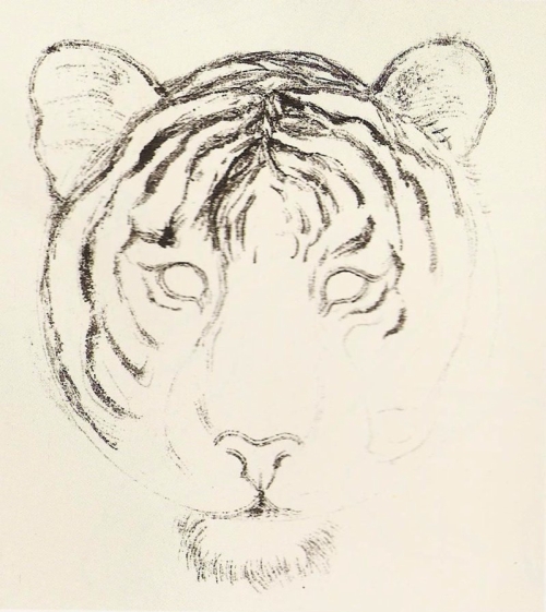 La tête du tigre en peinture chinoise xieyi, étape 1.
