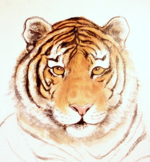 La tête du tigre en peinture chinoise xieyi, étape 4.