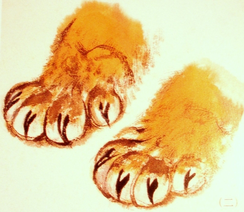 Les pattes du tigre en peinture chinoise xieyi, étape 1.