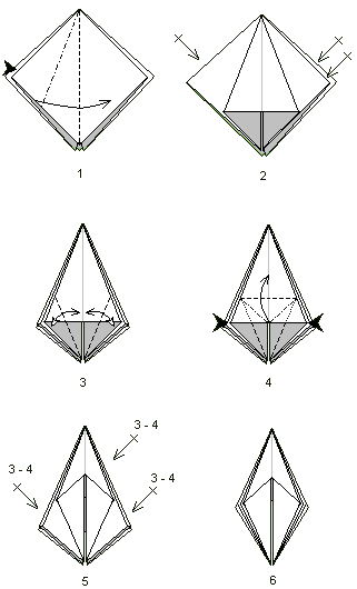 Base de la grenouille