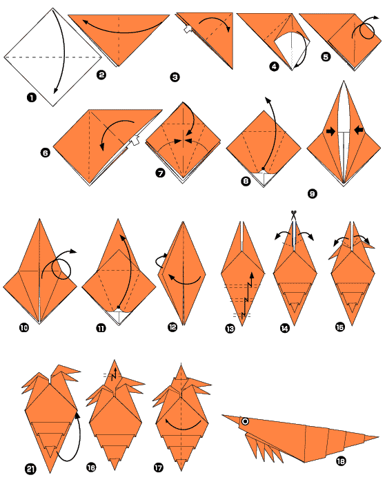 origami de crevette - diagramme
