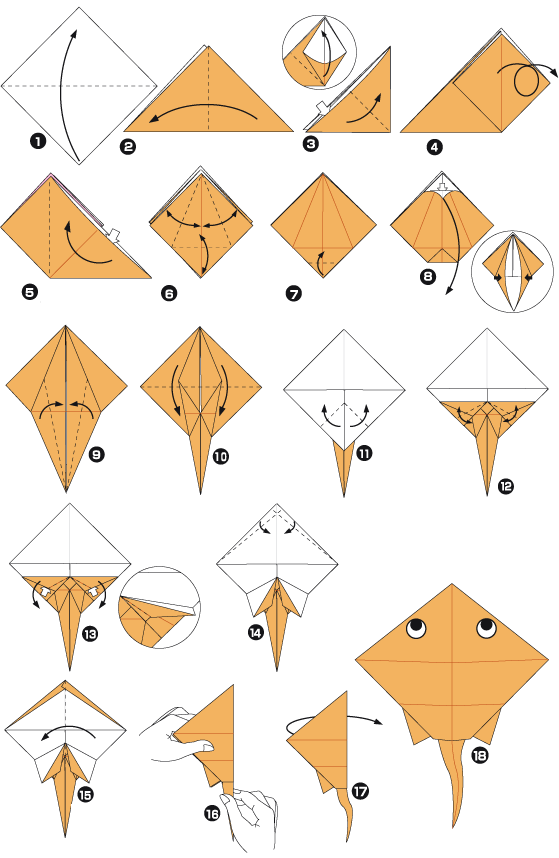 Diagramme d'origami de raie