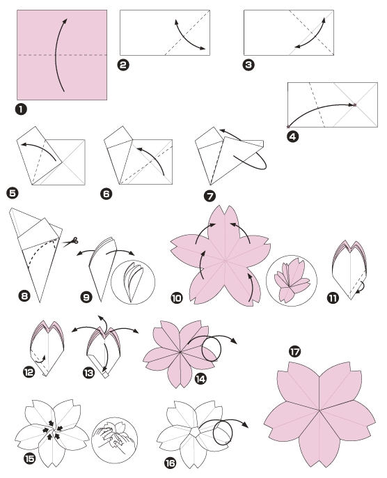 Diagramme de origami de fleurs de cerisier du Japon 1
