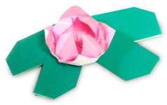 Origami de lotus