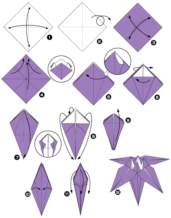 Diagramme d'origami d'orchidée - la fleur