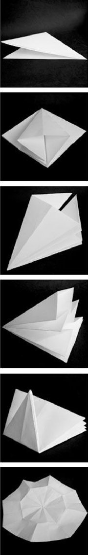 Diagramme d'origami de pourpier1