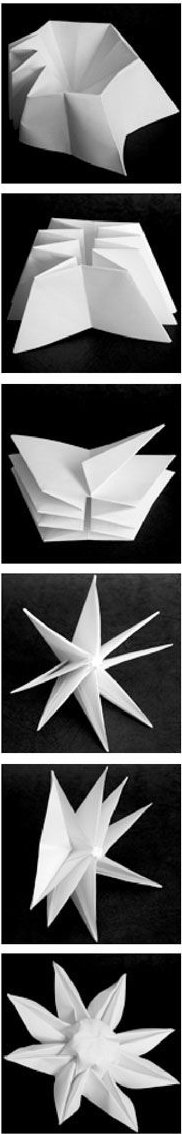 Diagramme d'origami de pourpier 2