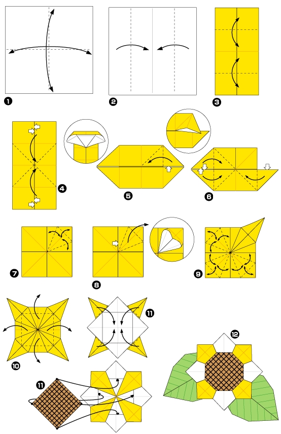Diagramme d'origami de tournesol : la fleur
