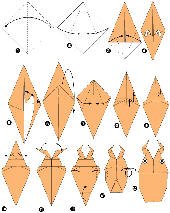Diagramme d'origami de coléoptère