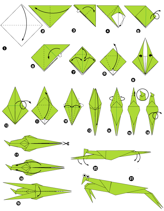 Diagramme d'Origami de mante religieuse