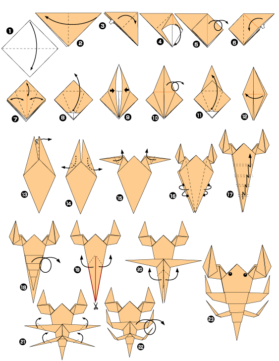 Diagramme d'Origami de scorpion