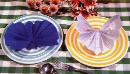 Pliage de serviette en forme de papillon