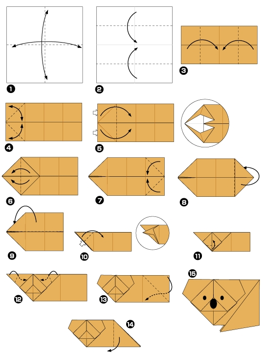 Diagramme d'origami de Koala