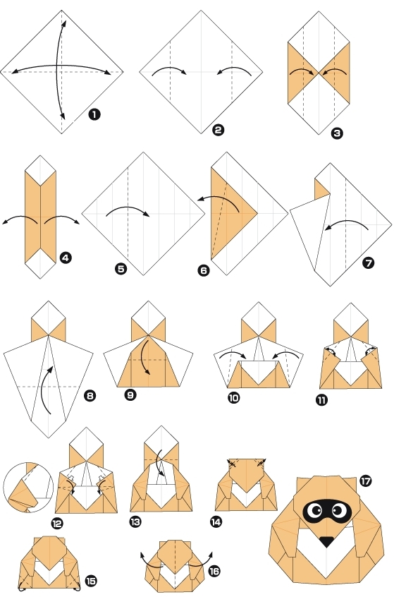 Diagramme d'origami de raton laveur